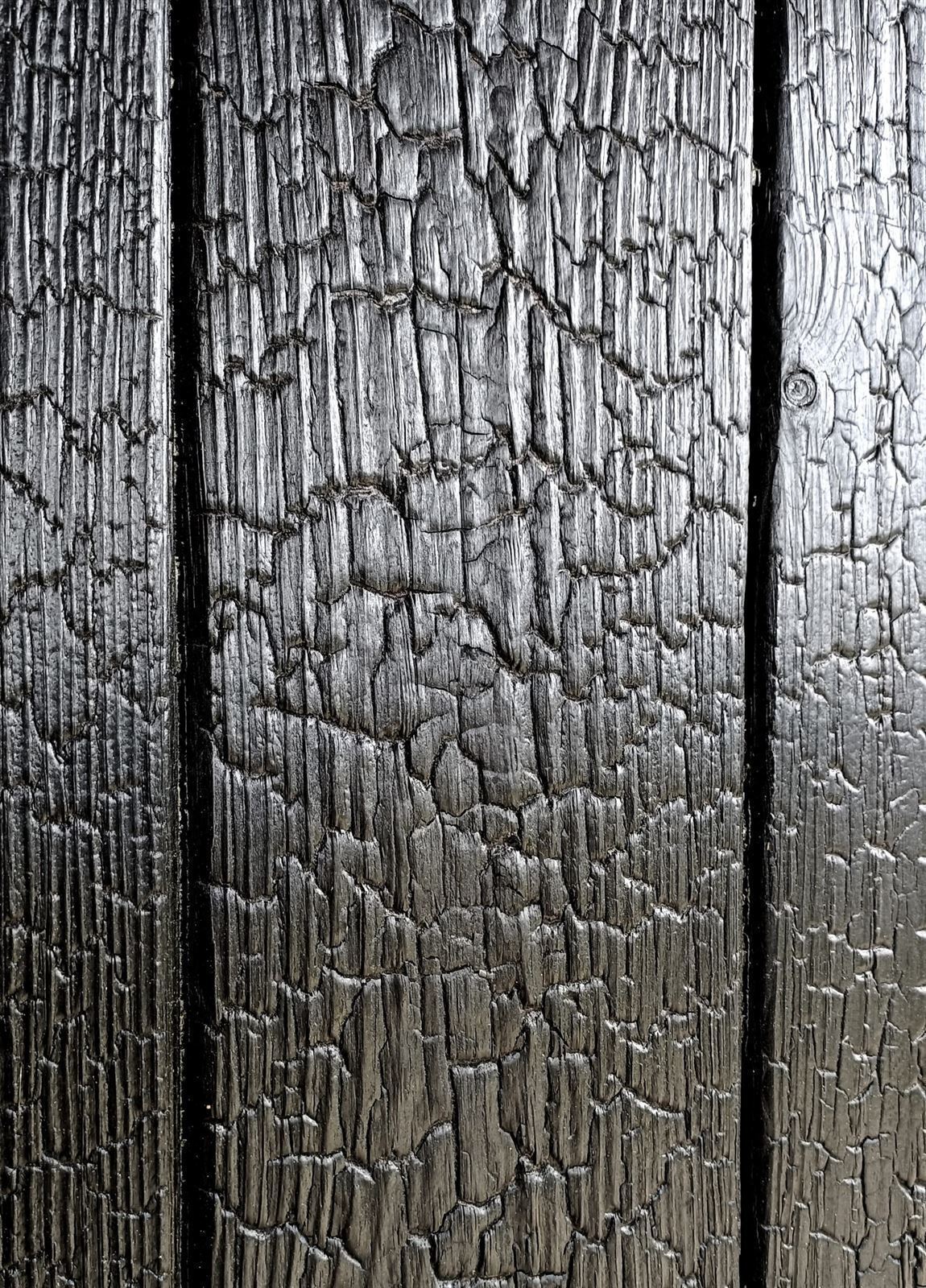 Revestimiento madera carbonizada piel de cocodrilo - Imagen 1